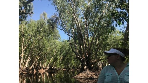 Darwin Dreams & Bamurru Plains: An Aussie Adventure